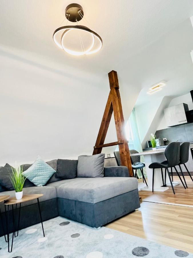 Apartment 3room-central-modern Near Mtu- The Zeppelin By Lakescape Fewos Friedrichshafen
